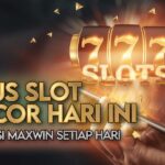 Panduan Slot Online dengan Putaran Bonus: Cara Memanfaatkannya dengan Baik